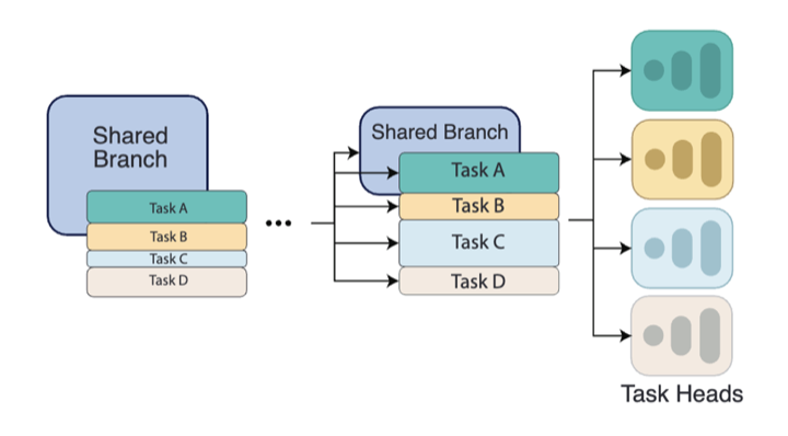 InterroGate representation sharing and specialization method