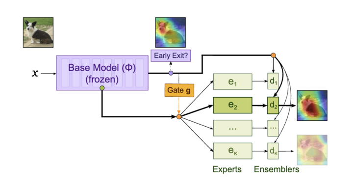 Single-gated mixture-of-experts with early exits